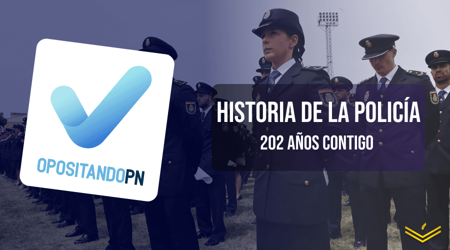 Imagen de la publicación