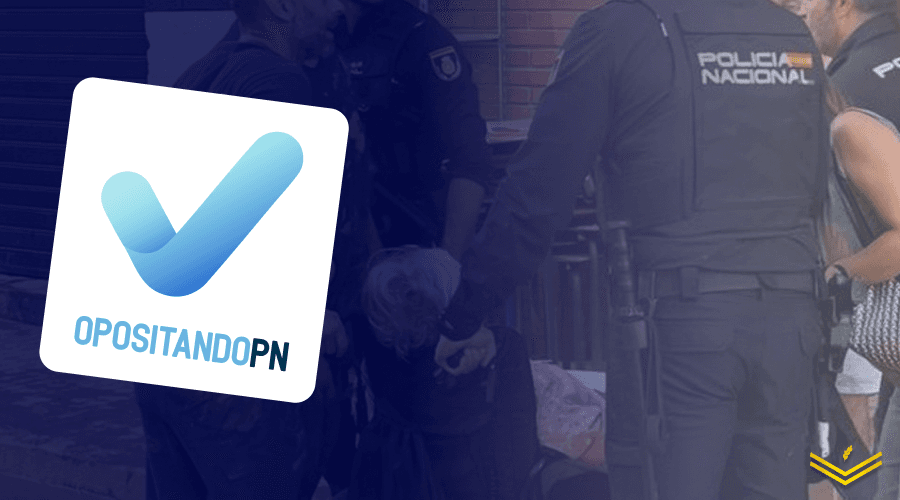 Imagen de la publicación