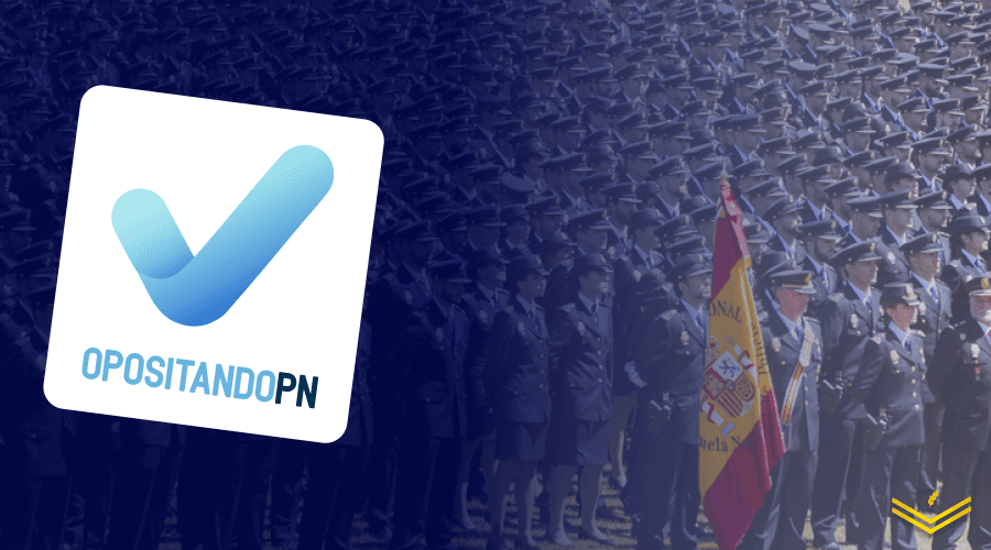 Imagen de la publicación